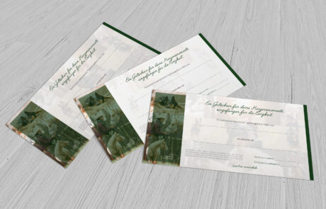 Bild: Drei ausgefächerte Gutscheine im DinLang-Format. Das Design besteht aus einem vollfächigen Hintergrund der eine Auswahl an Tierfotografien zeigt. Ein Sechstel links ist dabei vollfarbig mit einem dunkleren Overlay auf dem das Logo der Fotografin platziert wurde. Die restlichen 5 Sechstel sind um einiges Blasser um die Lesbarkeit des Textes darauf zu ermöglichen. Nebst Gutscheindaten und -Bedingungen ist dort Platz für handschriftliche Eintragungen. Darüber steht "Ein Gutschein für deine Herzensmomente, eingefangen für die Ewigkeit" und unten abschließend steht die Webadresse aufgedruckt in handschriftlichem Format.