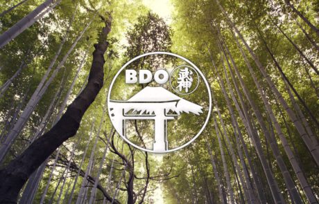 Bild: Ein Headerbild, dass das Kampfsportlogo in einfarbig Weiß vor einem Hintergrund zeigt, der den Blick nach oben zu den Baumwipfeln eines dichten Bambuswaldes simuliert.